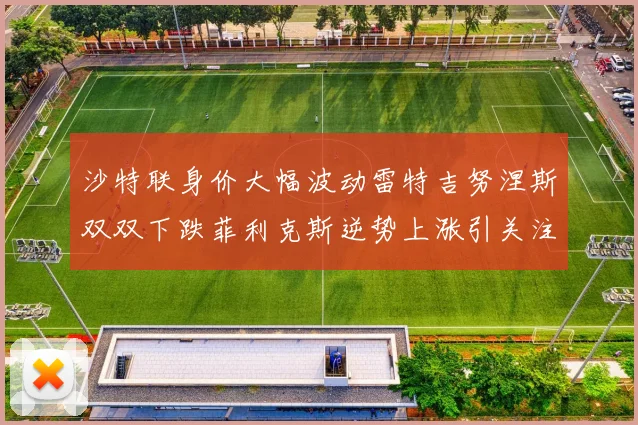 沙特联身价大幅波动雷特吉努涅斯双双下跌菲利克斯逆势上涨引关注