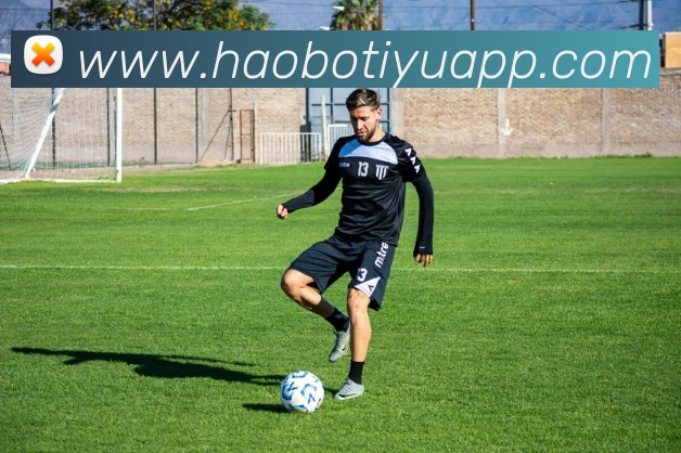 好博体育平台生态图